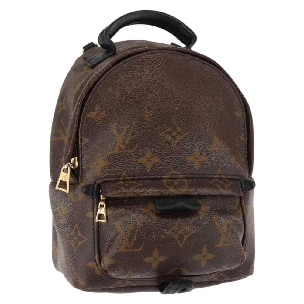 Louis Vuitton Palm Springs Mini #348866L54B